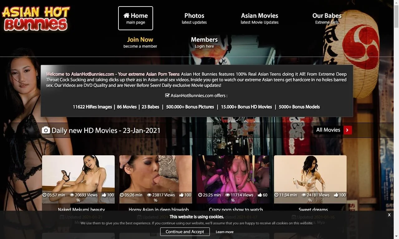 Asian Hot Bunnies (asianhotbunnies.com) Reviews