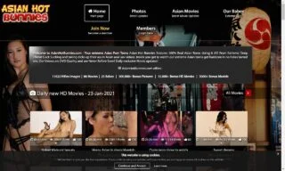 Asian Hot Bunnies (asianhotbunnies.com) Reviews