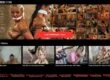 Ball Gagger (ballgagger.com) Reviews