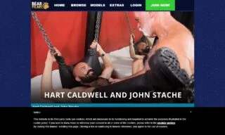 Bear Films (bearfilms.com) Reviews