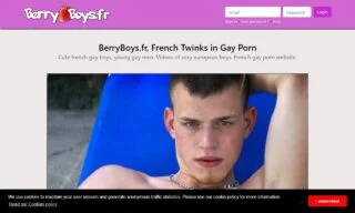 Berry Boys (berryboys.fr) Reviews