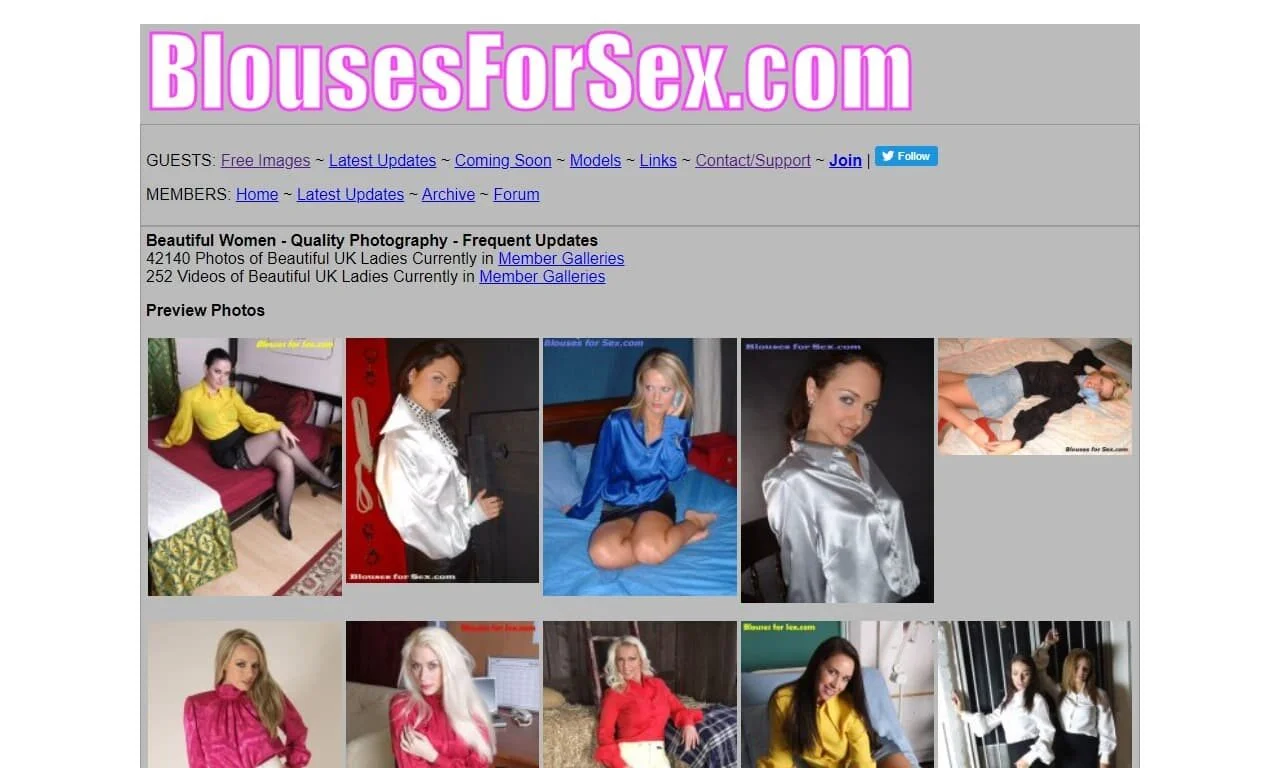 Blouses For Sex (blousesforsex.com) Reviews