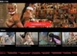 Bound Men Wanked (boundmenwanked.com) Reviews