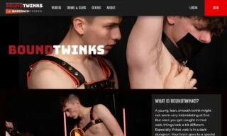 Bound Twinks (boundtwinks.com) Reviews at Self-Lover's World