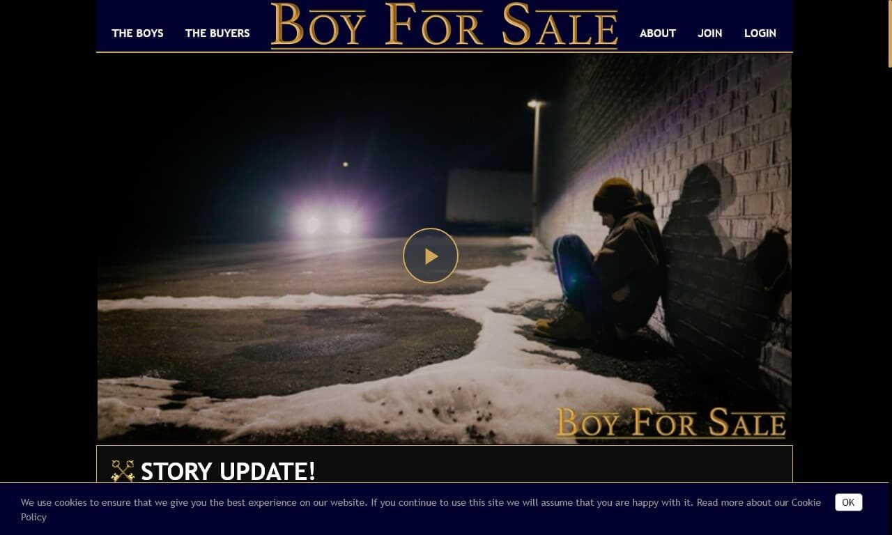 Boy For Sale (boyforsale.com) Reviews