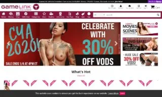 Game Link (gamelink.com) Reviews