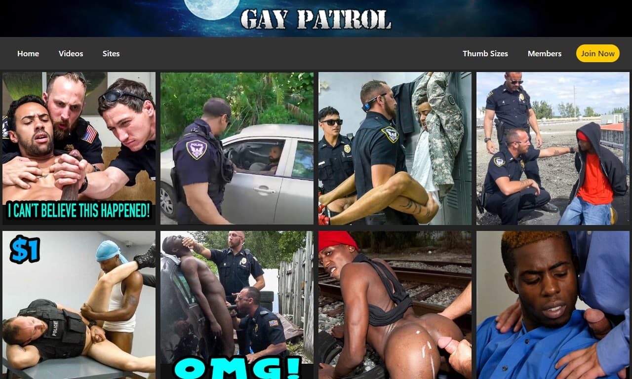 Gay Patrol (gaypatrol.com) Reviews at Self-Lover's World