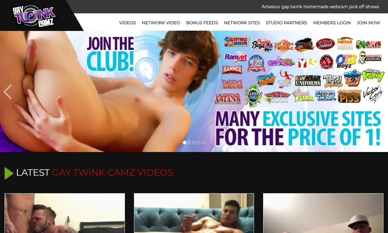 Gay Twink Camz (gaytwinkcamz.com) Reviews