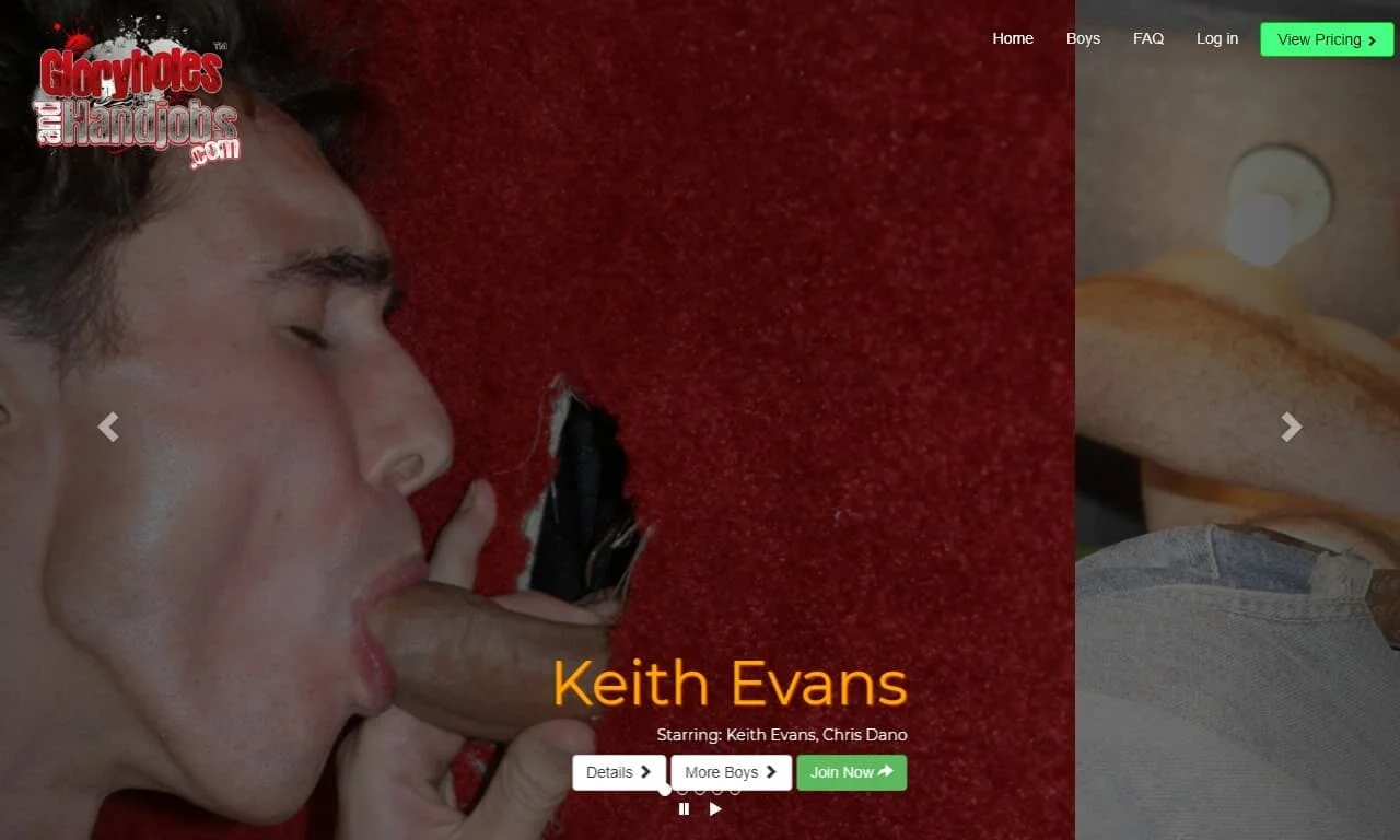 Gloryholes And Handjobs (gloryholesandhandjobs.com) Reviews