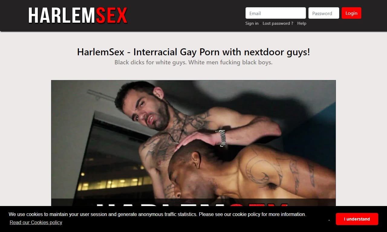 Harlem Sex (harlemsex.com) Reviews