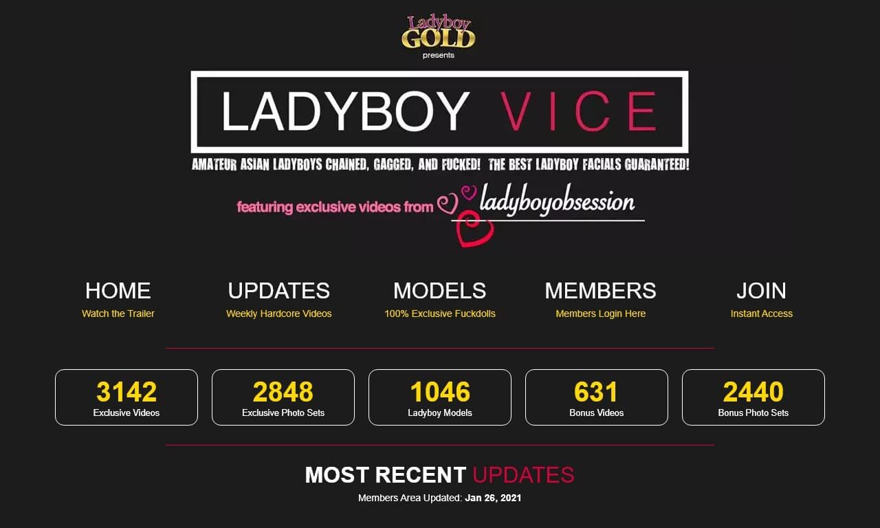 Ladyboy Vice (ladyboyvice.com) Reviews