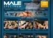 Male Spectrum (malespectrum.com) Reviews