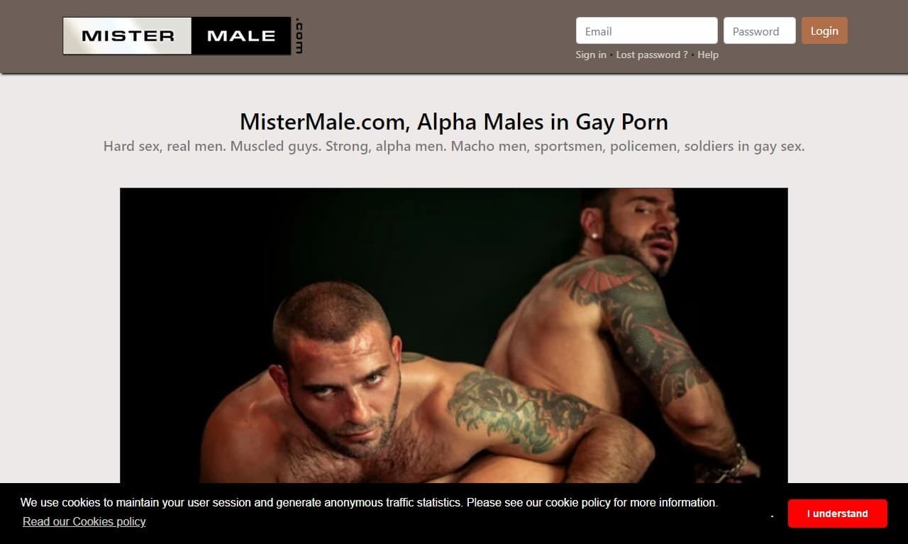 Mister Male (mistermale.com) Reviews