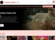 Pink Label (pinklabel.tv) Reviews