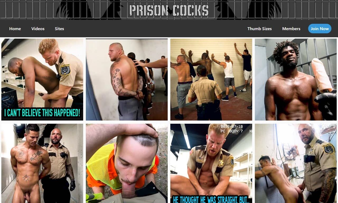 Prison Cocks (prisoncocks.com) Reviews at Self-Lover's World