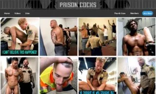 Prison Cocks (prisoncocks.com) Reviews at Self-Lover's World