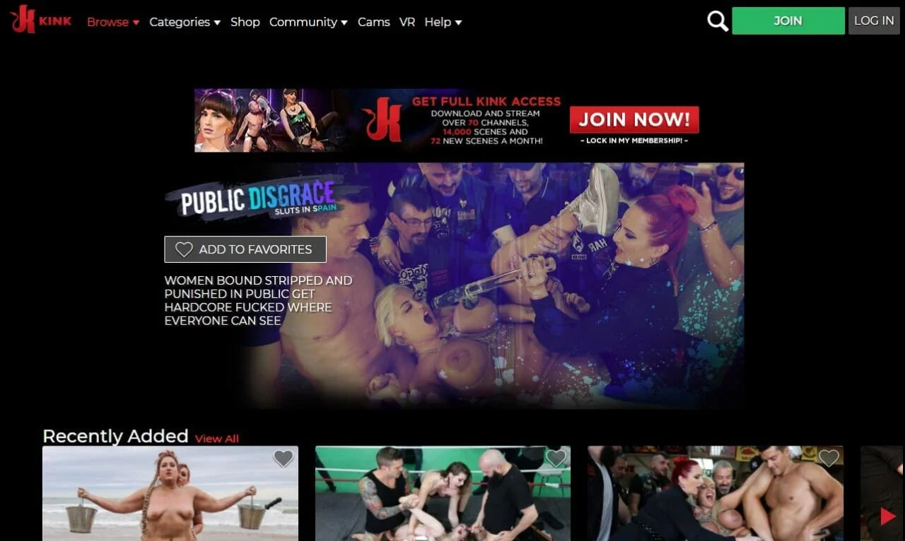 Public Disgrace (publicdisgrace.com) Reviews