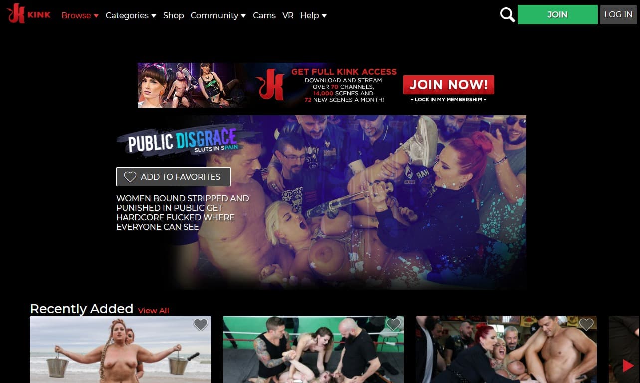 Public Disgrace (publicdisgrace.com) Reviews