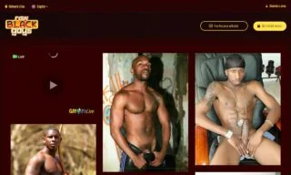 Raw Black Gays (rawblackgays.com) Reviews