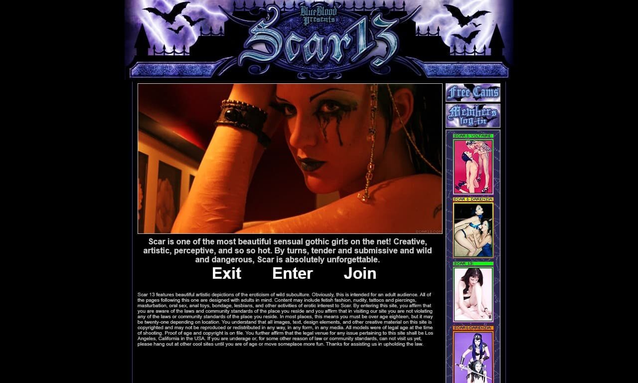Scar 13 (scar13.com) Reviews