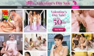 Trans Angels (transangels.com) Reviews