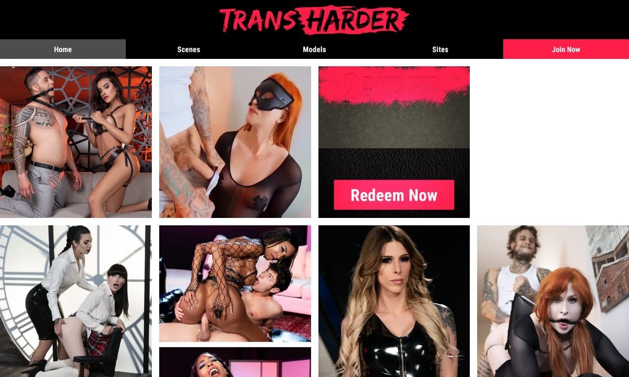 Trans Harder (transharder.com) Reviews