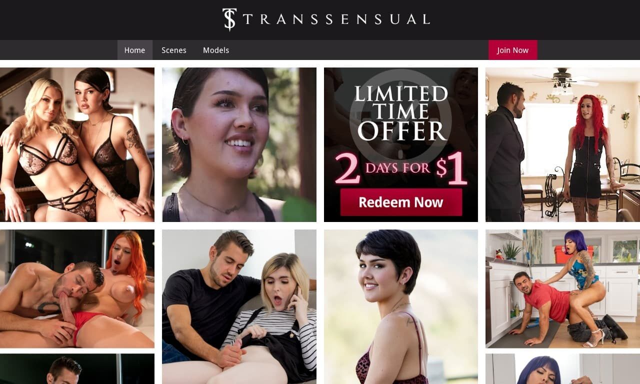 Transsensual (transsensual.com) Reviews