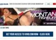 Vivid Celeb (vividceleb.com) Reviews
