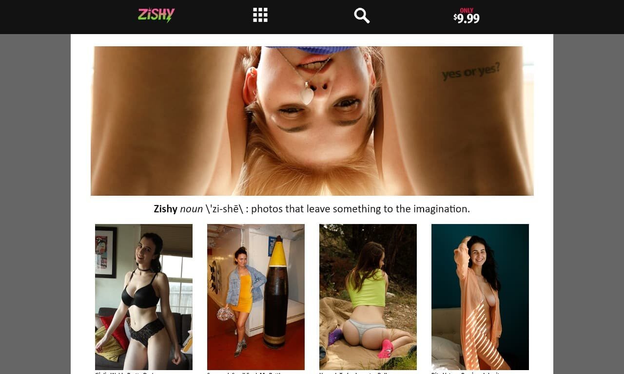 Zishy (zishy.com) Reviews