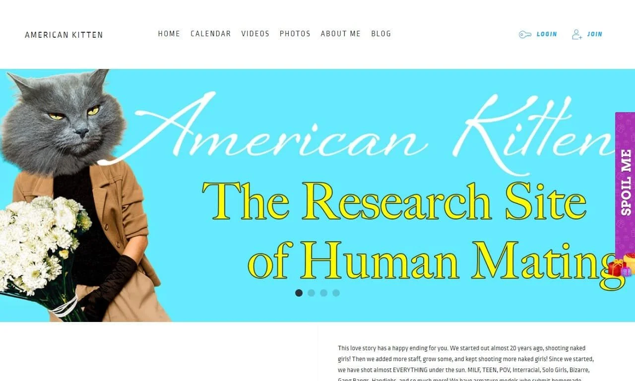 American Kitten (americankitten.com) Reviews at Self-Lover's World