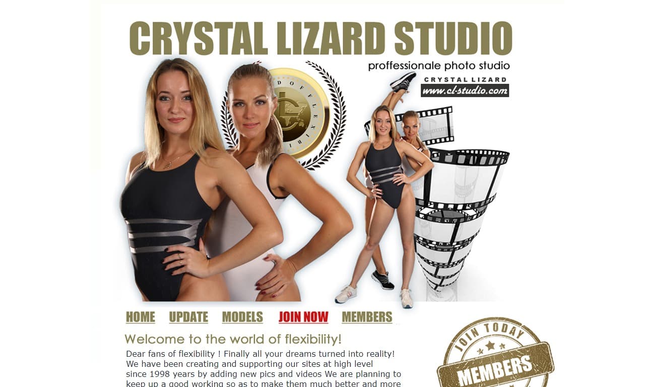 Crystal lizard studio