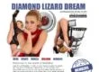 DL Dream (dl-dream.com) Reviews