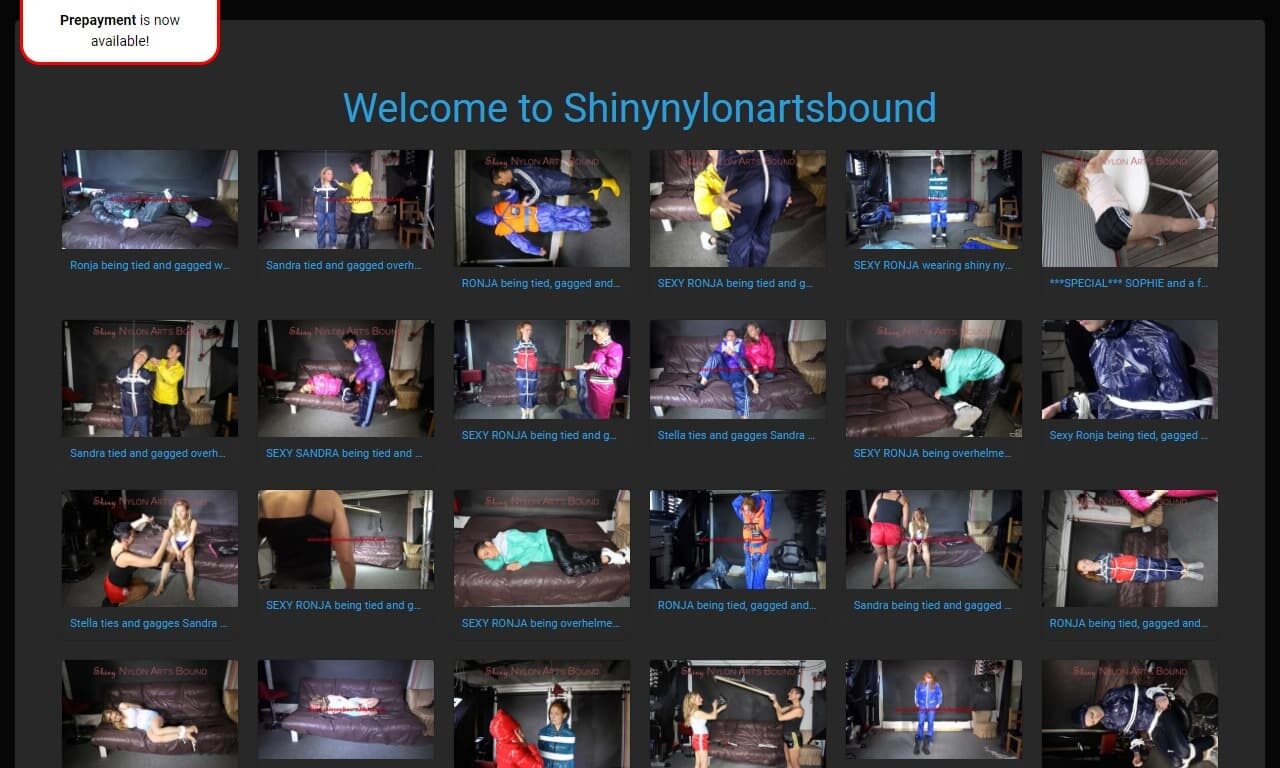 Shiny Nylon Art's Bound (shinynylonartsbound.com) Reviews