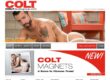 COLT Studio Group (coltstudiogroup.com) Reviews